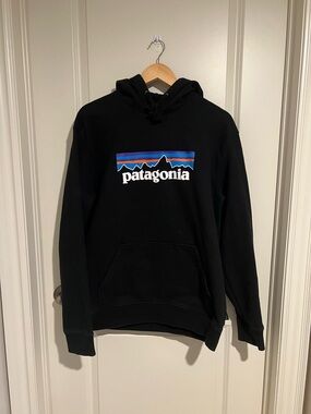 Patagonia Black Pullover Hoodie with Color Stripe Logo